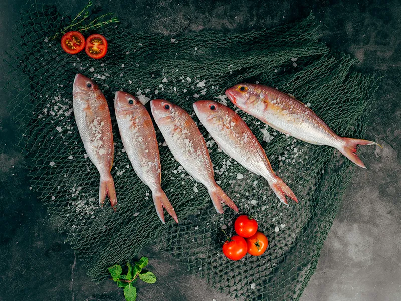 Poissons frais du jour sur filet de pêche, produits de la mer, restaurant La Houle
